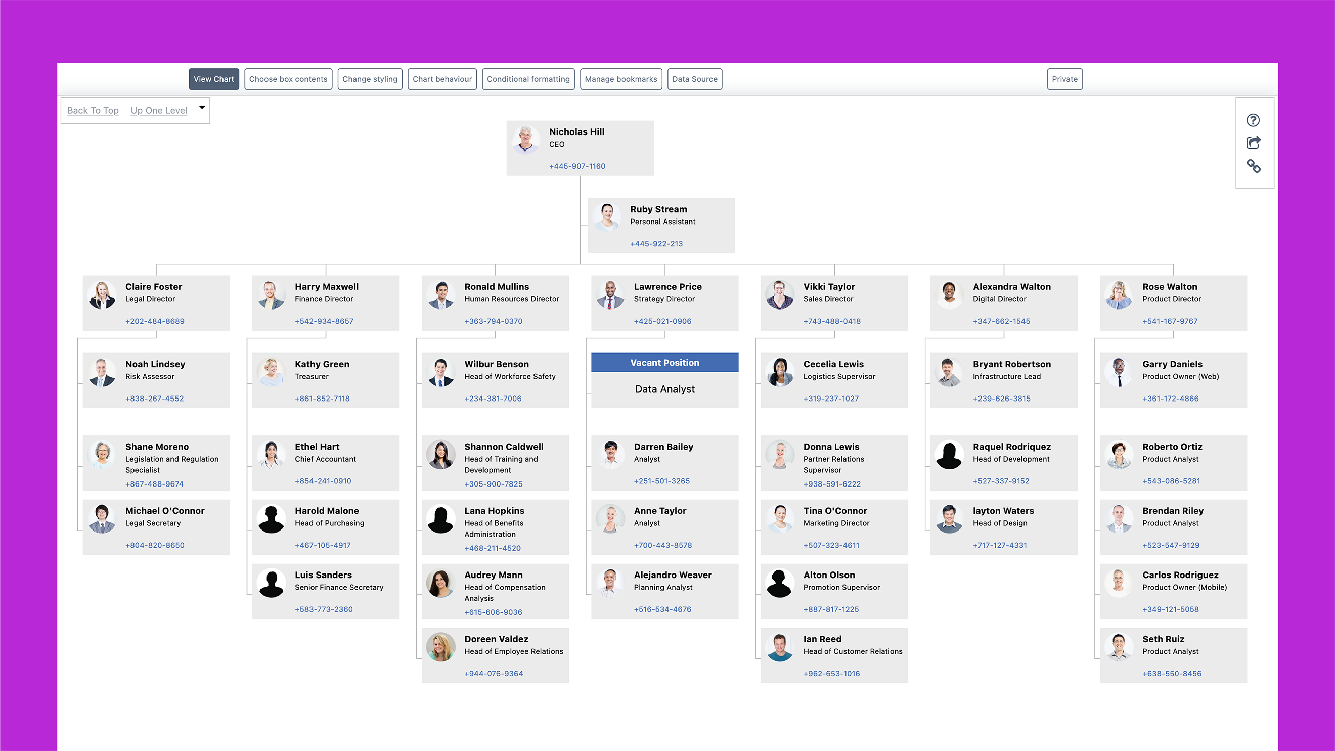 Organizational chart showing company hierarchy with executive and director-level roles at the top.