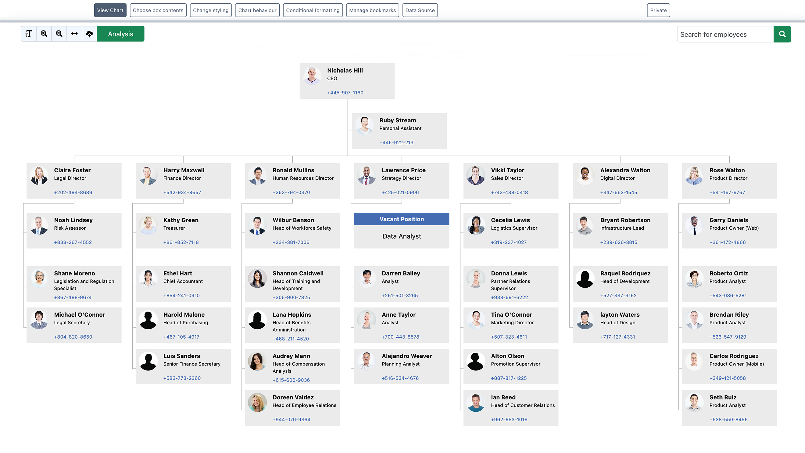 Organizational chart showing company hierarchy with executive and director-level roles at the top.