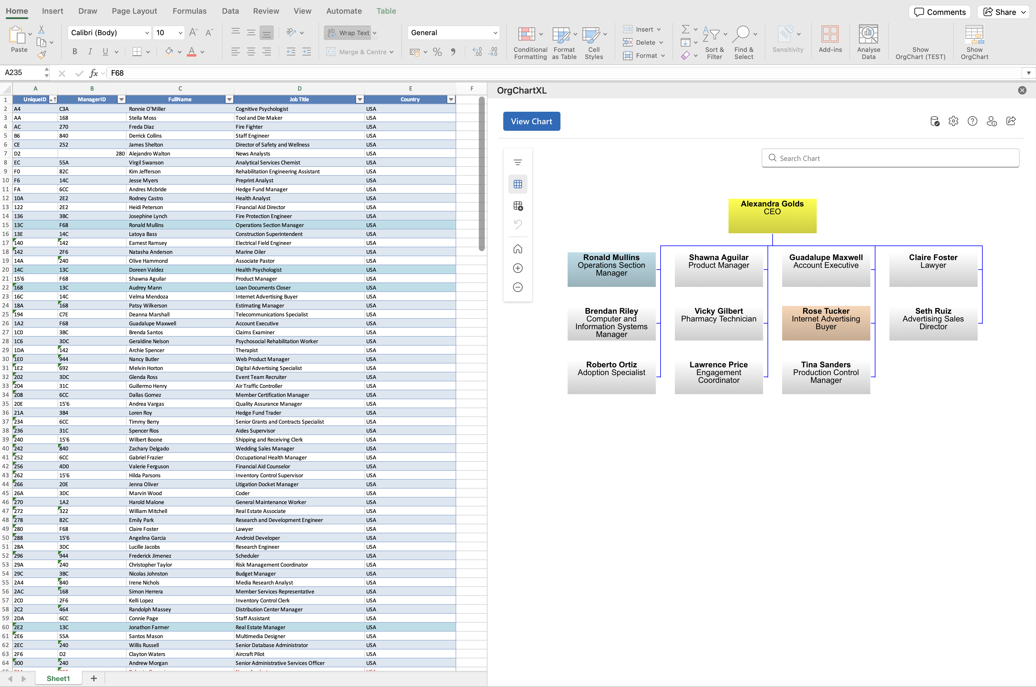 Excel-based org chart with a hierarchical team structure and spreadsheet of job roles and managers.